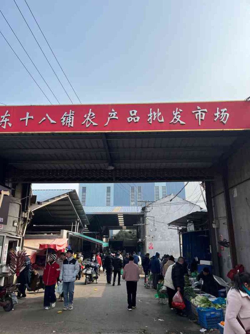万国丰收林辉辉牧师讲道集:信仰与生活的融合